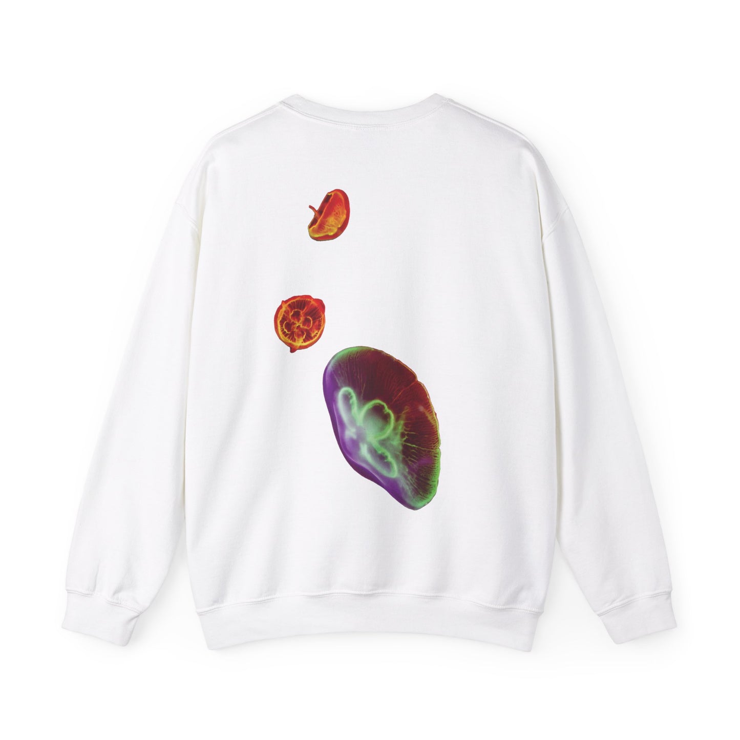All Seeing Aquarium Crewneck